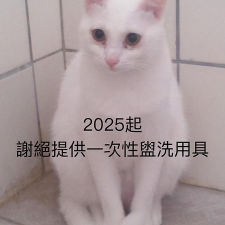 花莲七星潭自然海个性民宿 Dahan 外观 照片