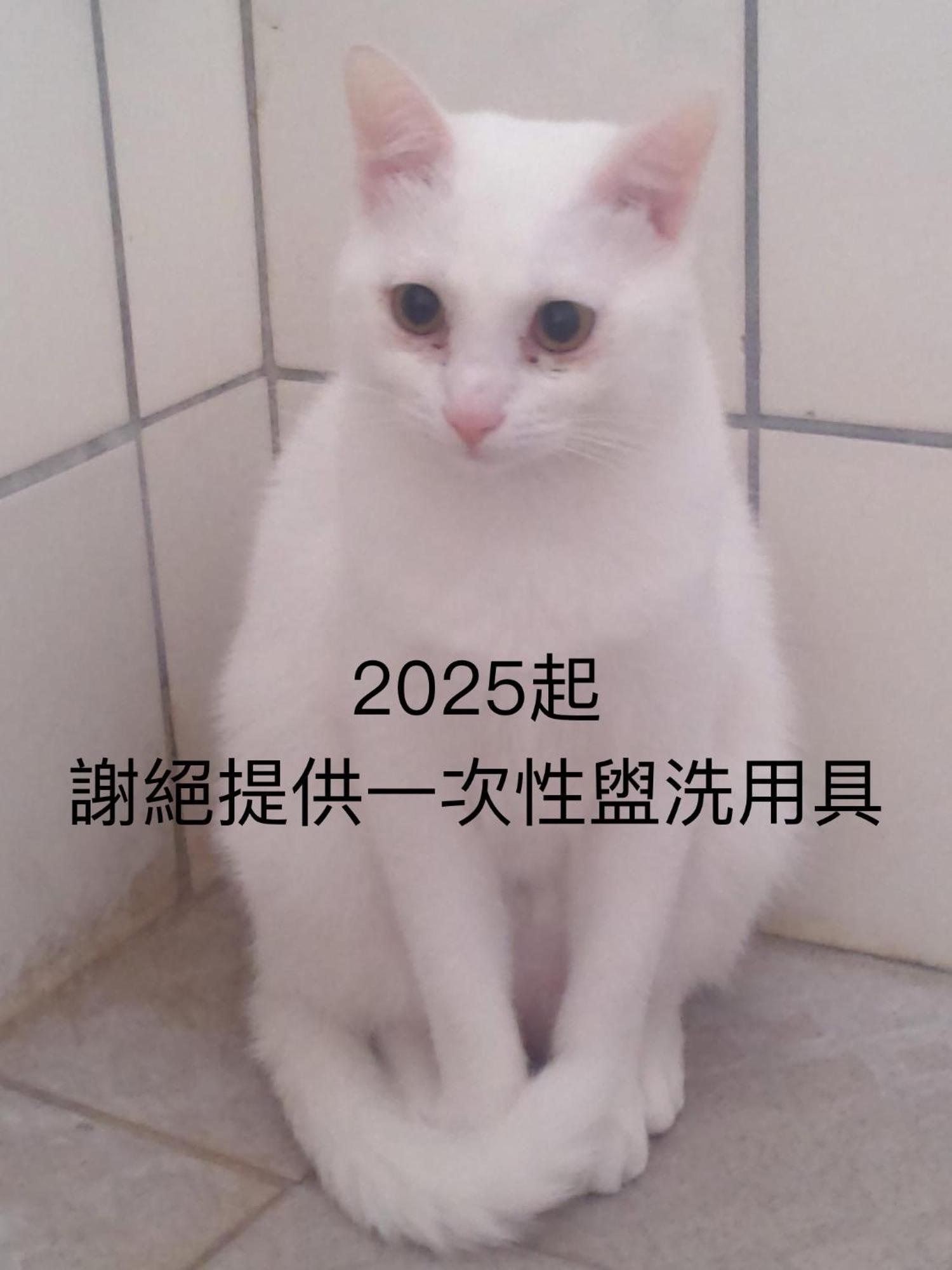 花莲七星潭自然海个性民宿 Dahan 外观 照片